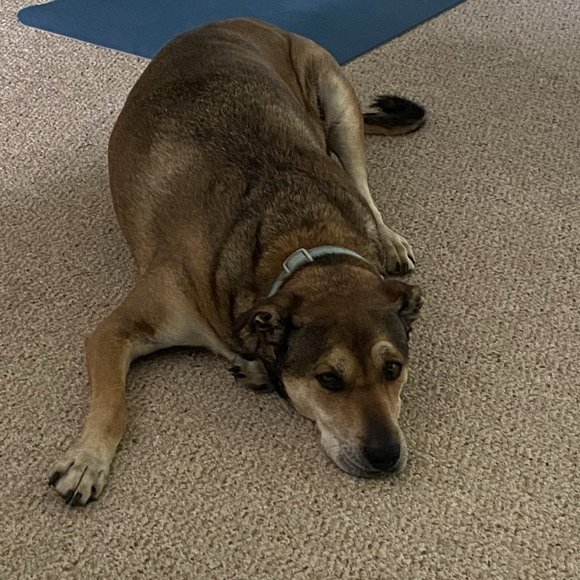 Ace's Outlet - Picture 3 of 4